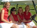 Ladybirds 2012 JPG.JPG